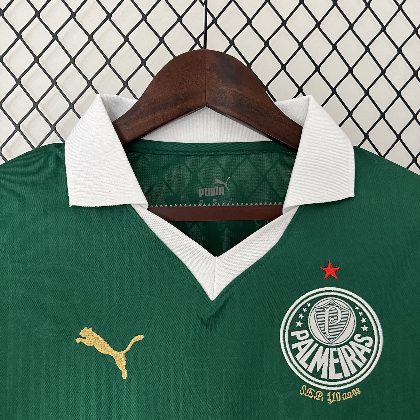 Camisa Palmeiras I 24/25 - Torcedor